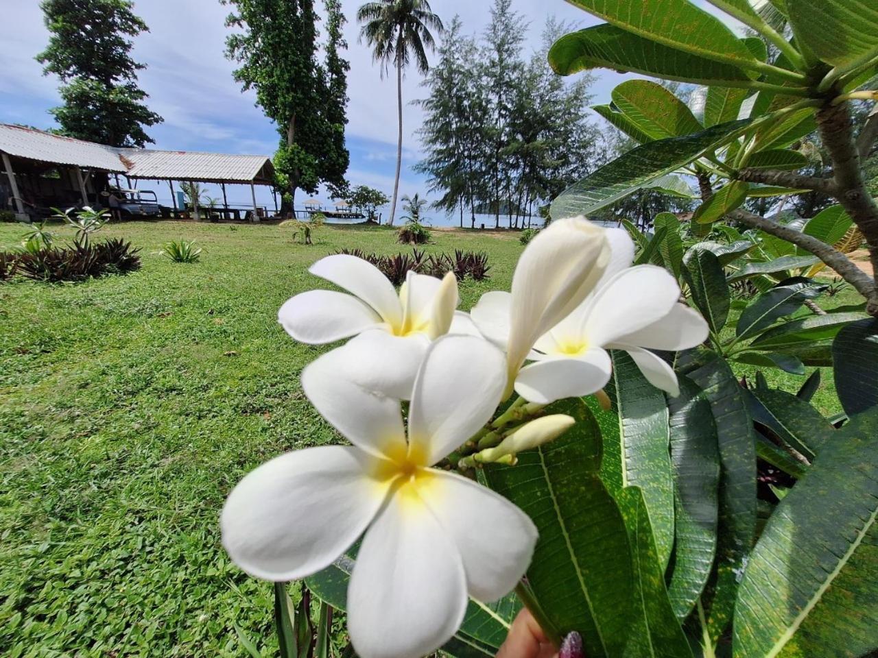 Miss You Beach Resort Koh Mak Eksteriør bilde